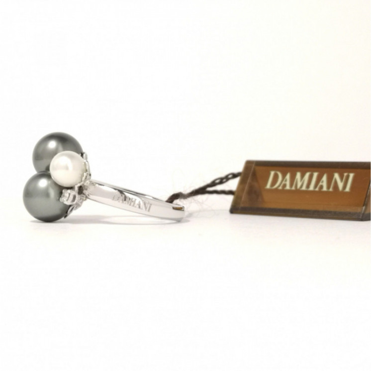 Anello Damiani